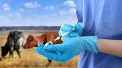 3-тарау. Аурулардың алдын алу және жою жөніндегі ветеринариялық іс-шараларды жүргізу тәртібі