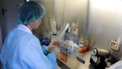 Выдача лицензии на занятие деятельностью по проведению ветеринарно-санитарной экспертизы продукции и сырья животного происхождения