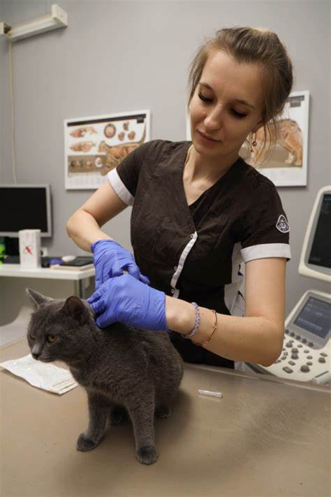 Бухгалтерлік есеп пен басқаруды оңтайландыру және ұйымдастыру тиімді және сапалы қызмет көрсетуге және клиенттерге қызмет көрсетуге ықпал етеді.