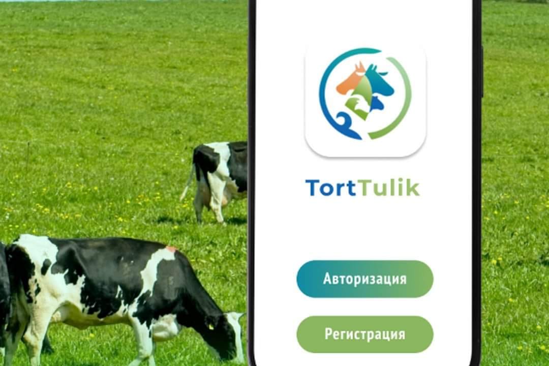 Мобильное приложение для владельцев с/х животных «TortTulik»