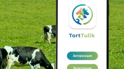 Мобильное приложение для владельцев с/х животных «TortTulik»
