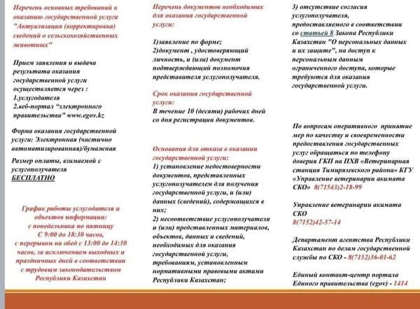 Перечень основных требований к оказанию государственной услуги "Актуализация (корректировка) сведений о сельскохозяйственных животных"