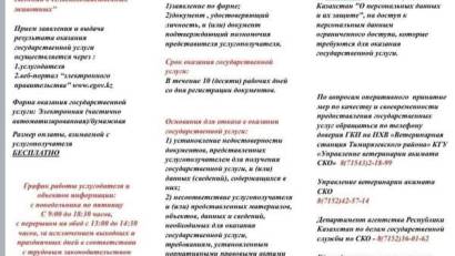 Перечень основных требований к оказанию государственной услуги "Актуализация (корректировка) сведений о сельскохозяйственных животных"