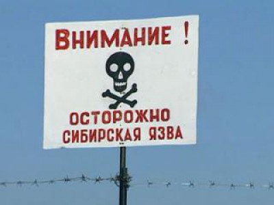 Сибирская язва