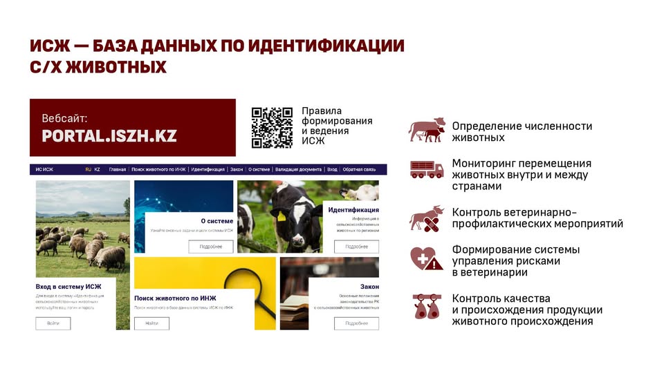 Ведение ИС ИСЖ