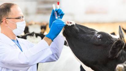 Подготовка и организация осенних ветеринарных мероприятий