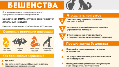Предупреждение бешенства животных