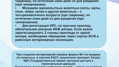 Памятка для владельцев сельскохозяйственных животных