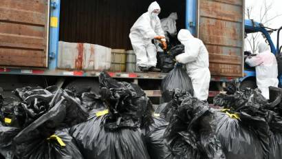 Порядок утилизации биологических отходов 