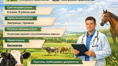 Перечень основных требований к оказанию государственной услуги 