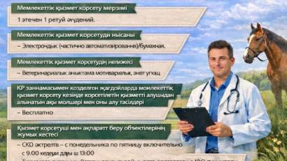 Перечень основных требований к оказанию государственной услуги 