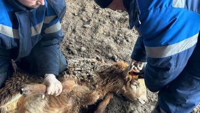 Уважаемые жители Тимирязевского района!