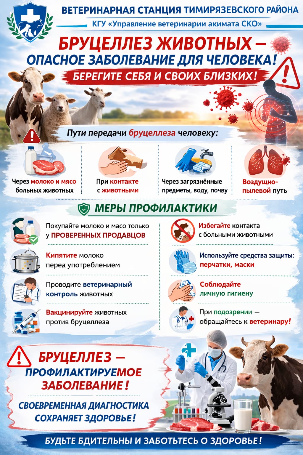 Бруцеллёз животных — опасная болезнь для человека. Меры профилактики