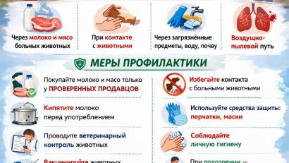 Бруцеллёз животных — опасная болезнь для человека. Меры профилактики