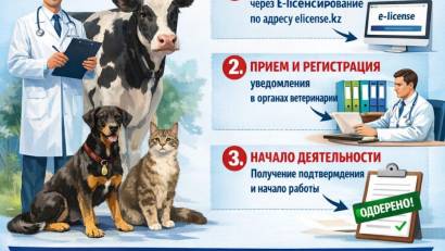Уведомительный порядок предпринимательской деятельности в области ветеринарии