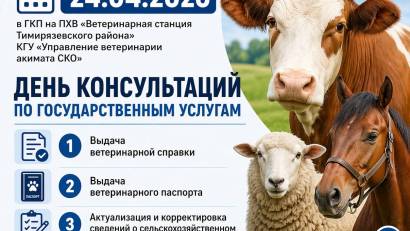 Анонс