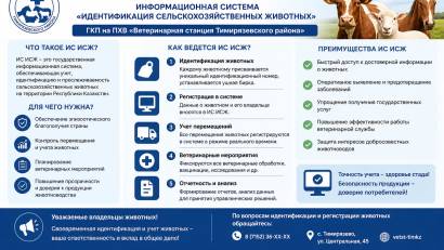 Ведение информационной системы ИСЖ — важный элемент ветеринарного контроля